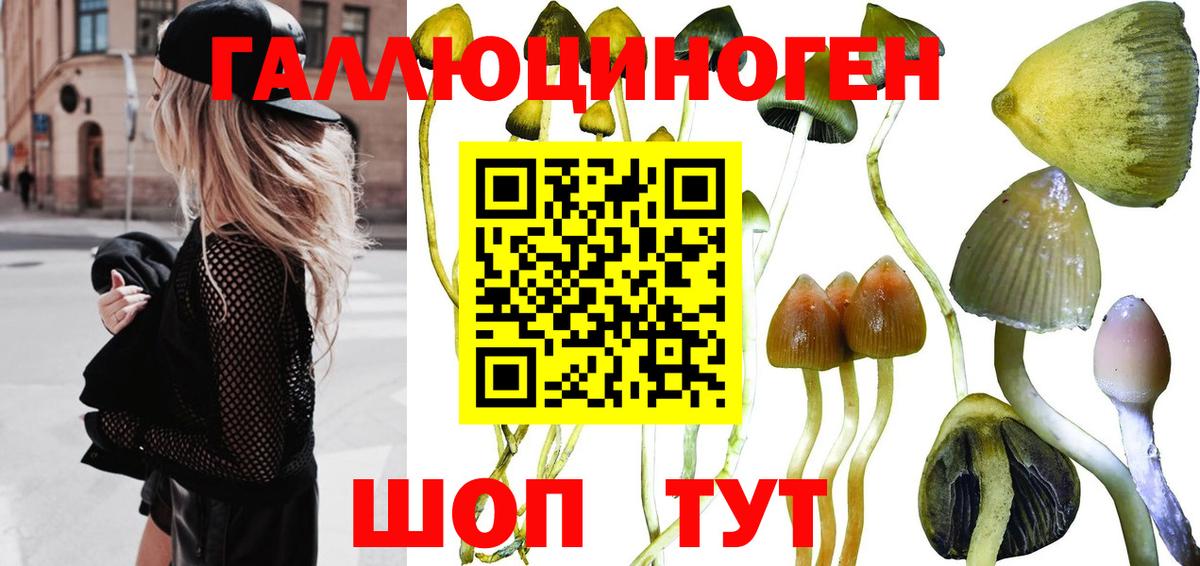 Новочебоксарск  Галлюциногенные грибы Magic Shrooms  Вход с VPN 