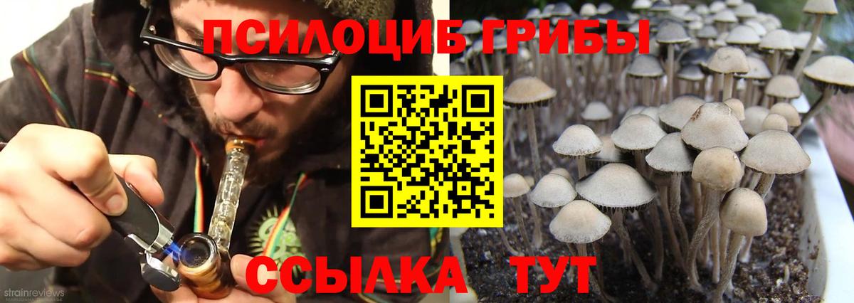 Псилоцибиновые грибы ЛСД Новочебоксарск